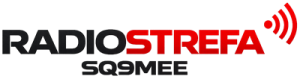 Shoper demo brak logo - strona główna